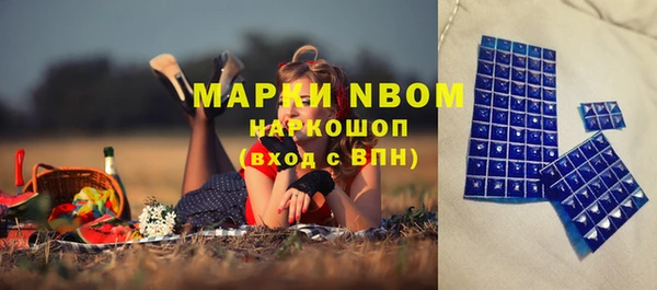 apvp Белокуриха