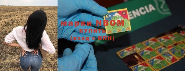 apvp Белокуриха