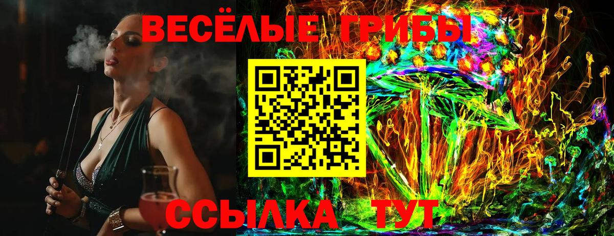Галлюциногенные грибы GOLDEN TEACHER Воскресенск